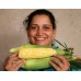 SWEETCORN COB  Each  NORTHLAND Grown